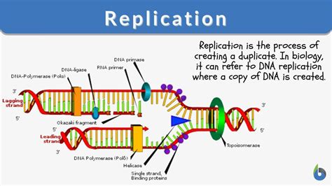 replication watch science|can you replicate scientific results.